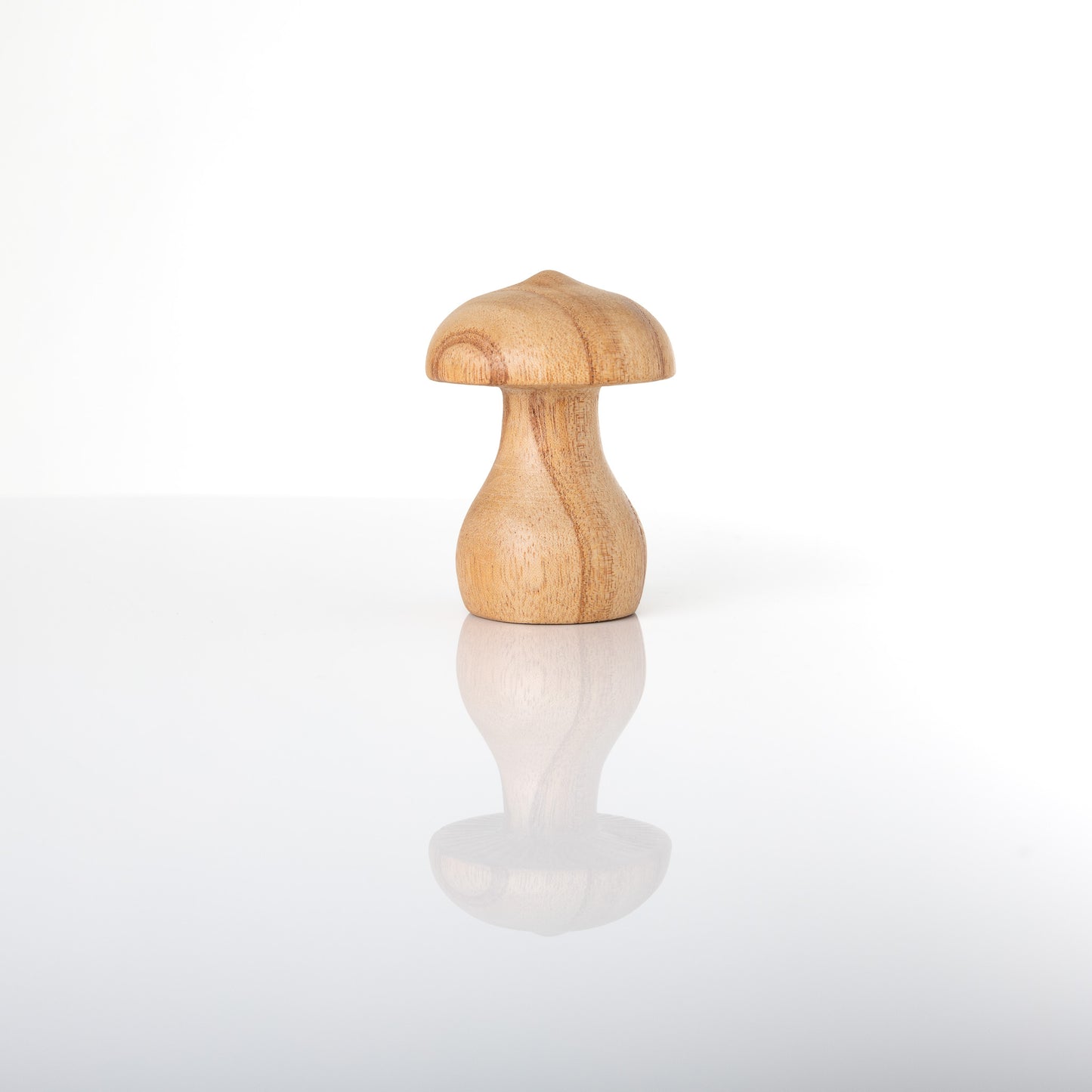 4pc Mini Mushroom Set