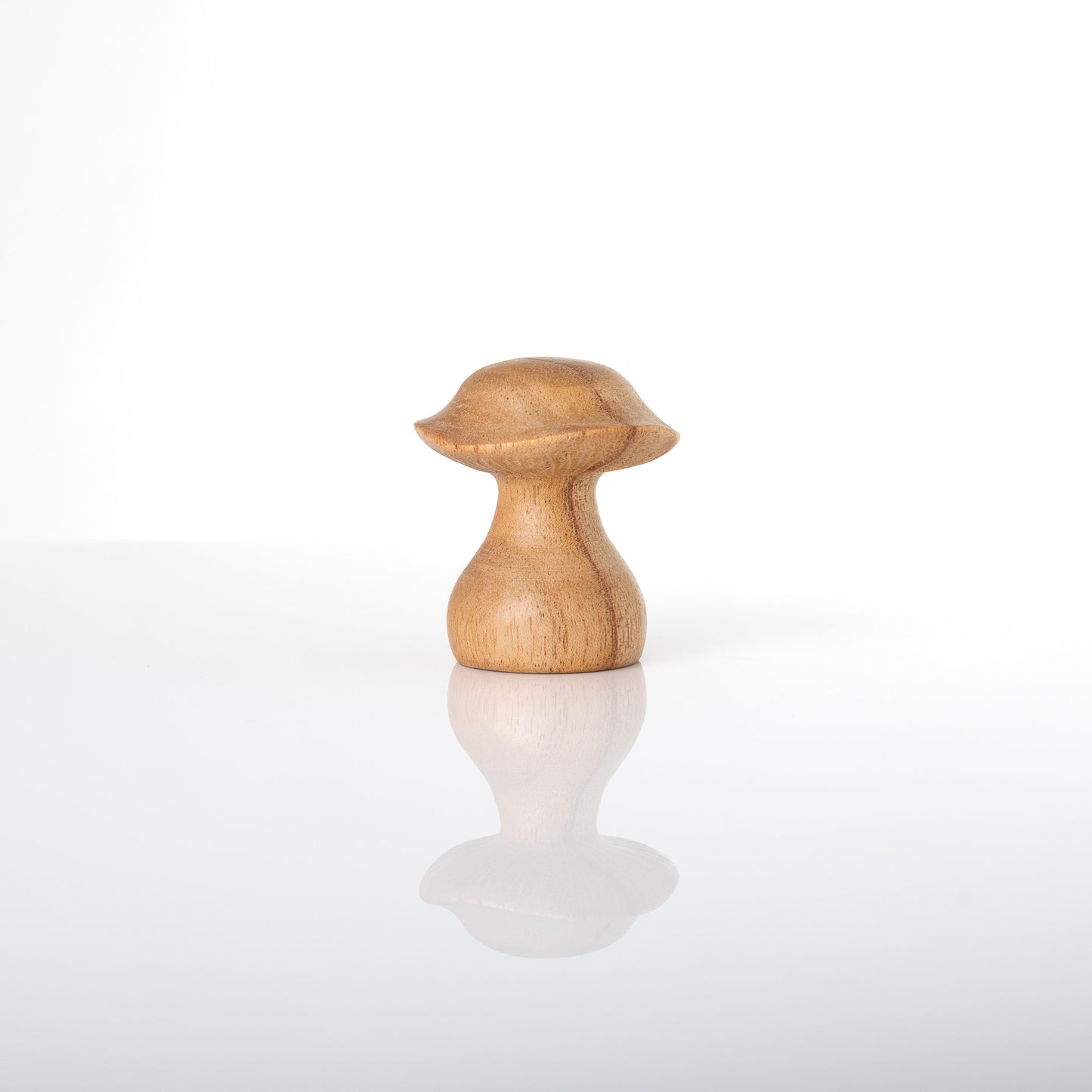 4pc Mini Mushroom Set