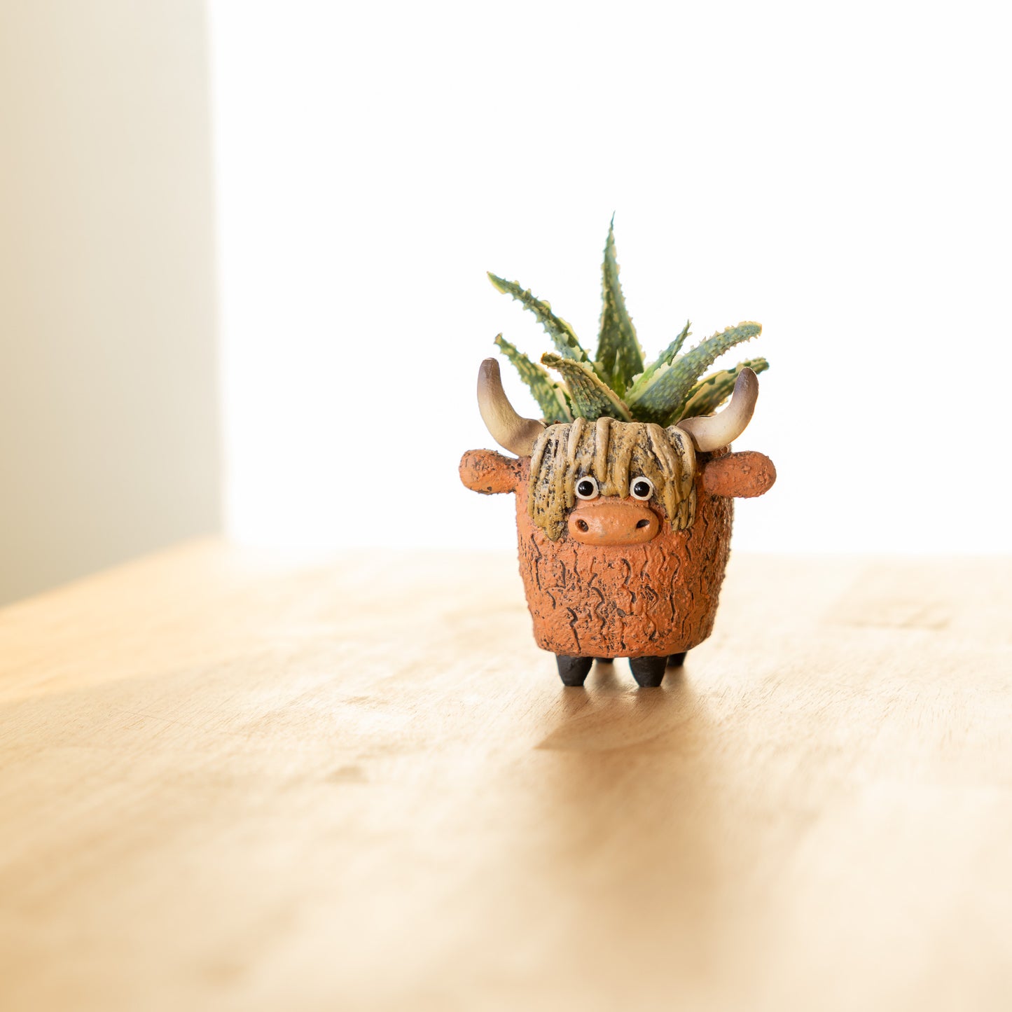 Highland Cow Blobhouse Planter - Dougal