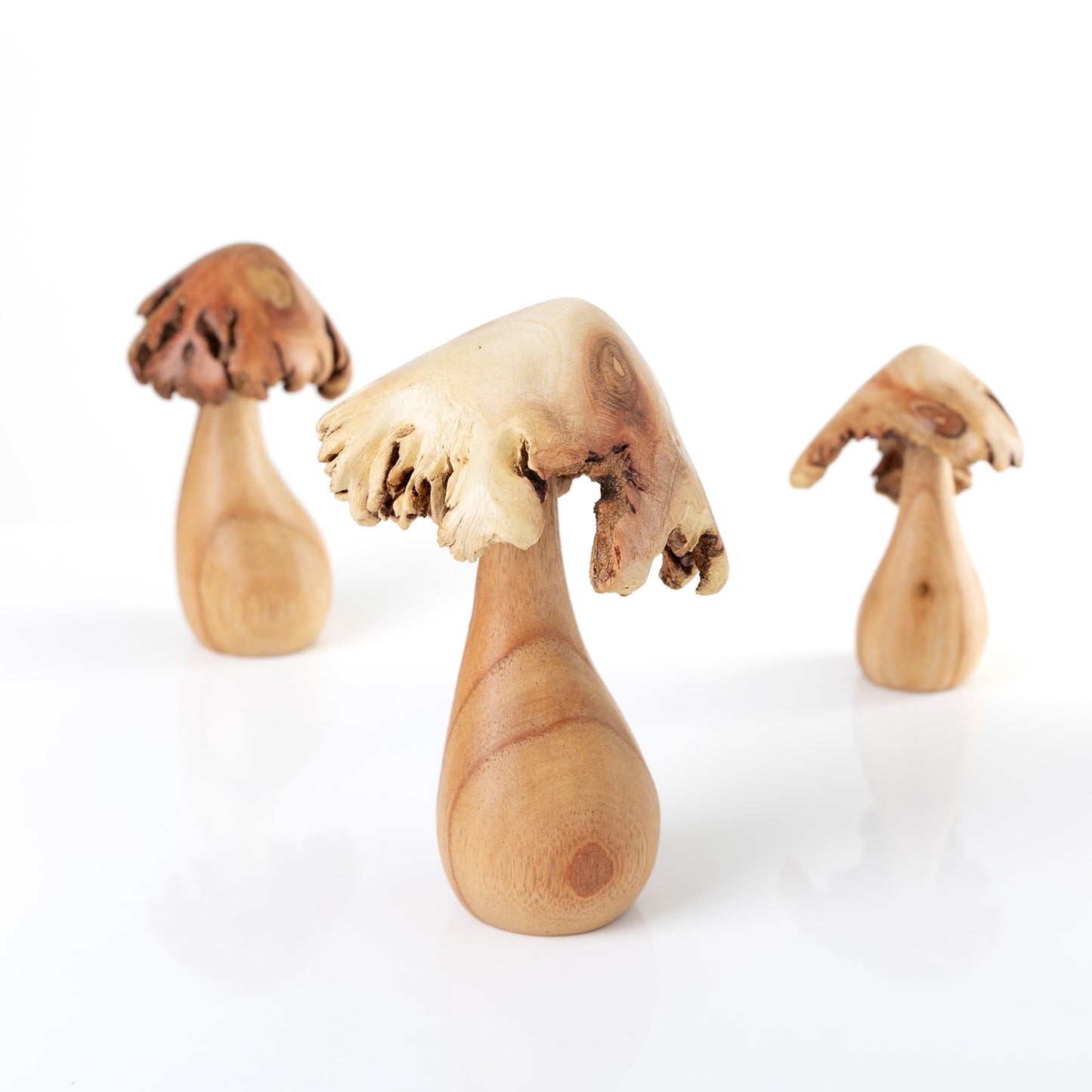 3pc Trippy Mushroom Set with Parasite Wood Top