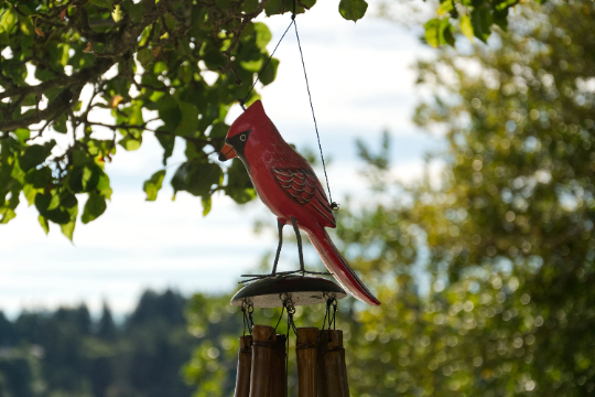 Cardinal Wild Bird Bamboo Wind Chime