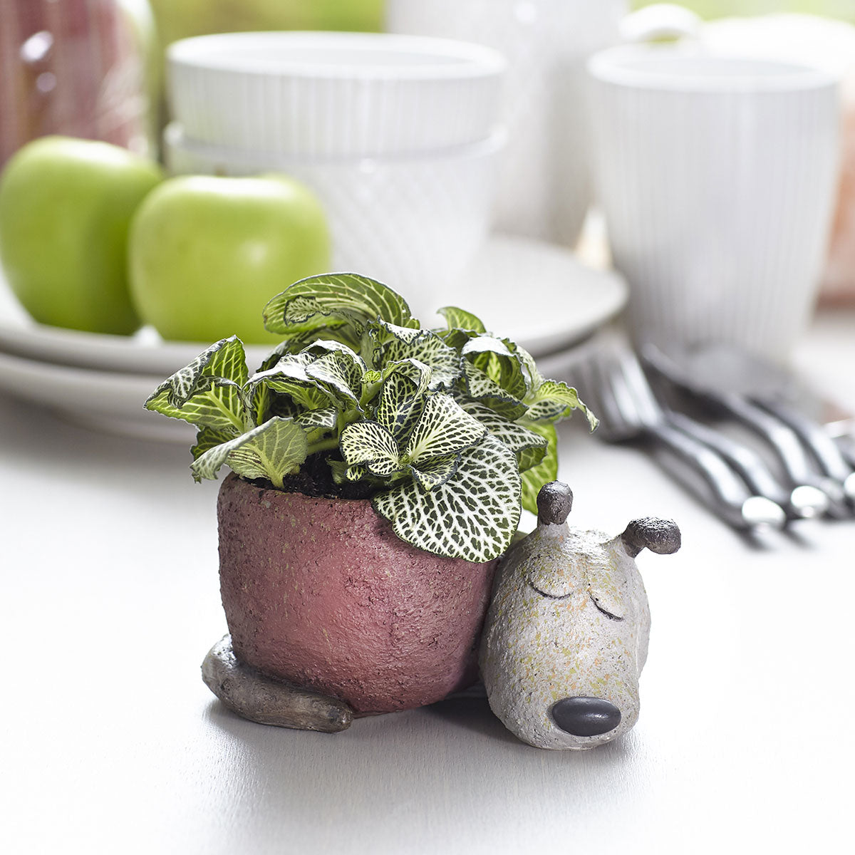 Dreamer Dog Planter