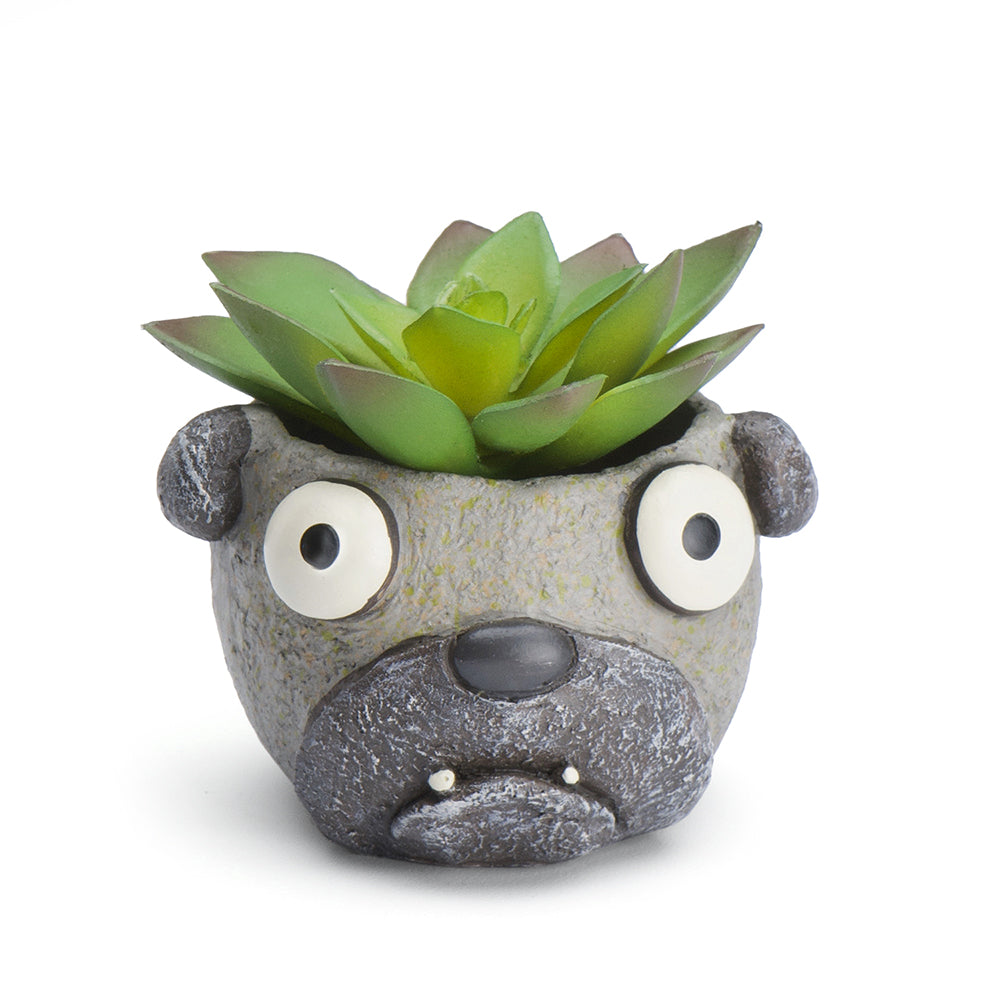 Baby Elliott the Pug Dog Planter