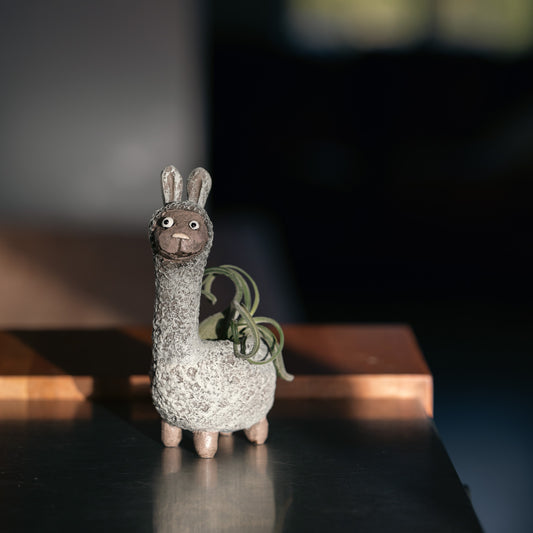 Dolly the Llama Planter