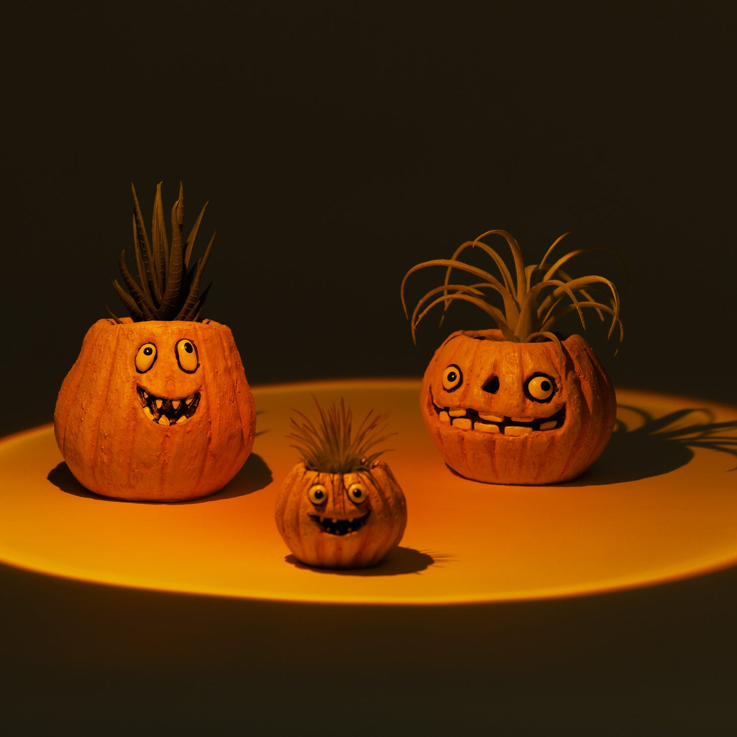 3pc Pumpkin Family Blobhouse Planter Set - Gourdon, Jack, Snickers