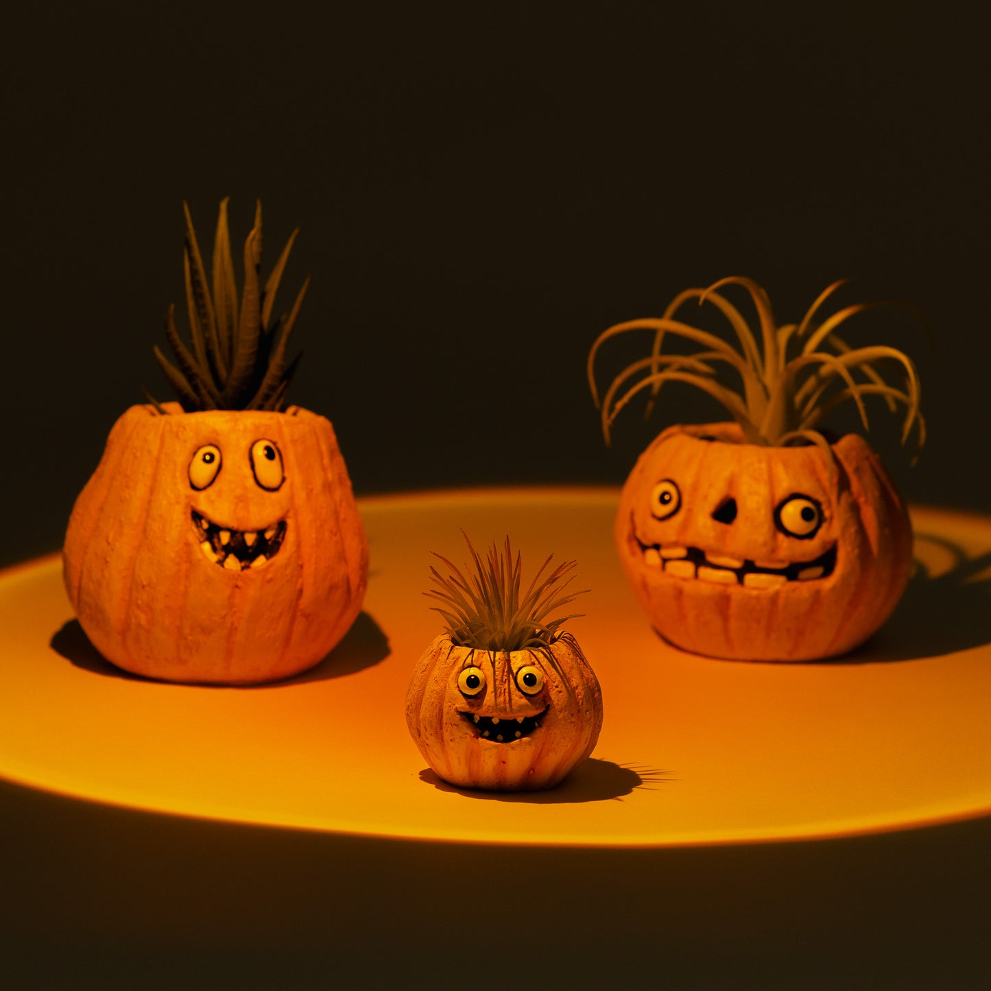 3pc Pumpkin Family Blobhouse Planter Set - Gourdon, Jack, Snickers