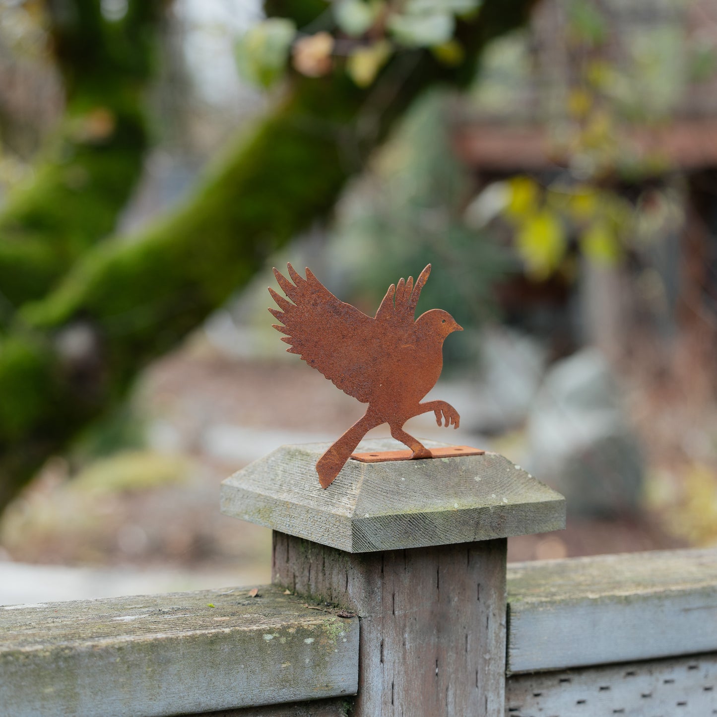 Rustic Steel Flying Bluebird