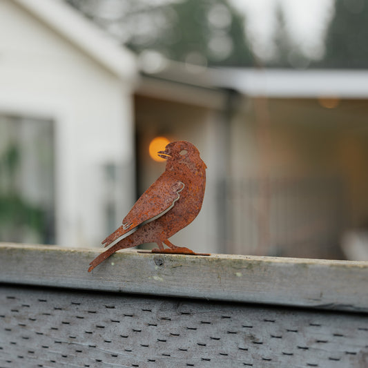 Rustic Steel Bluebird