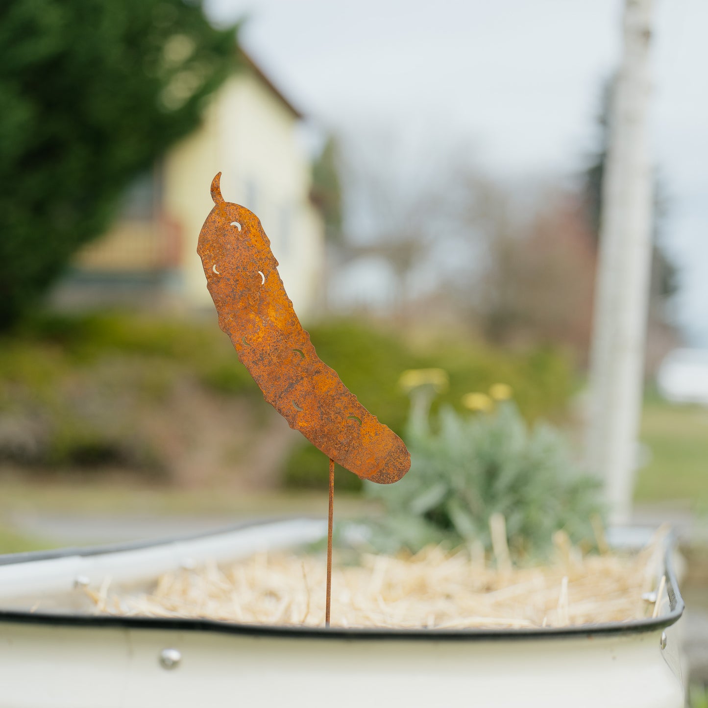 Rustic Steel Veggie Picks 5pc Set