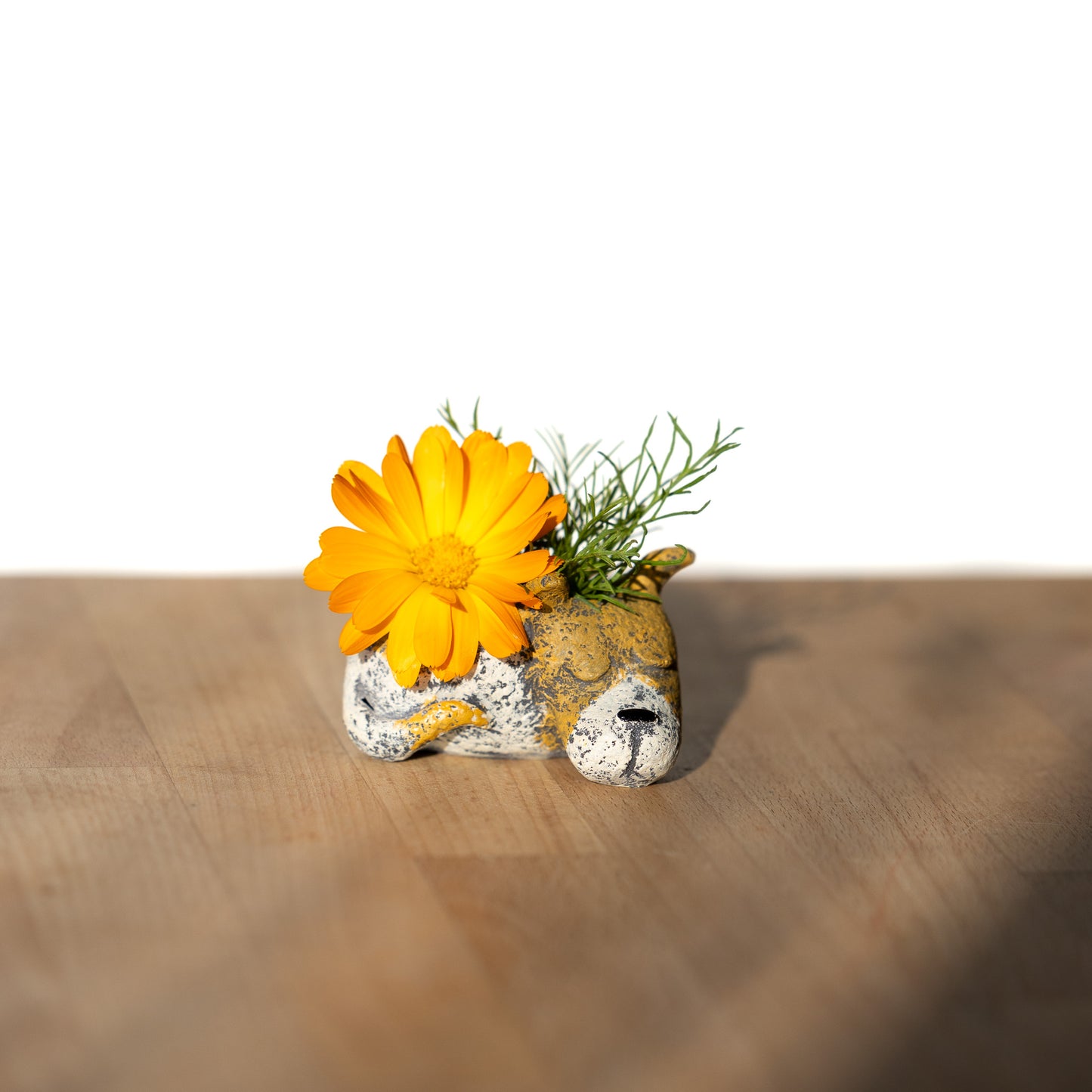 Mini Luna Dog Blobhouse Planter