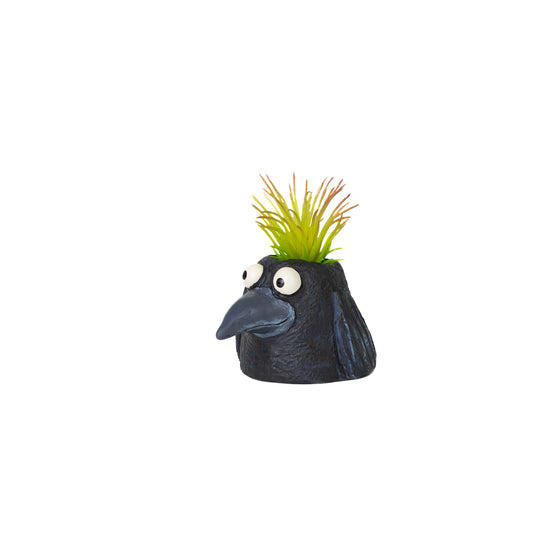 Baby Eddie Crow Blobhouse Planter