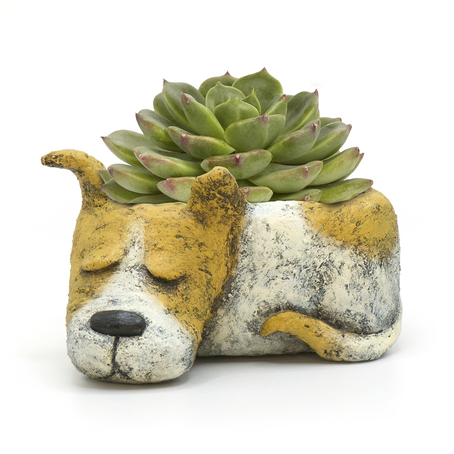 Luna Sleeping Dog Blobhouse Planter