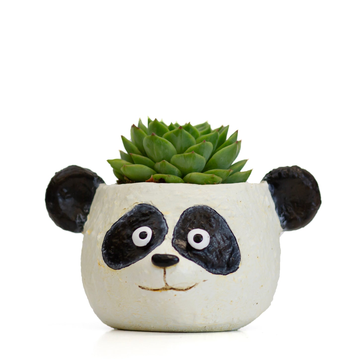 Mochi the Panda Head Planter