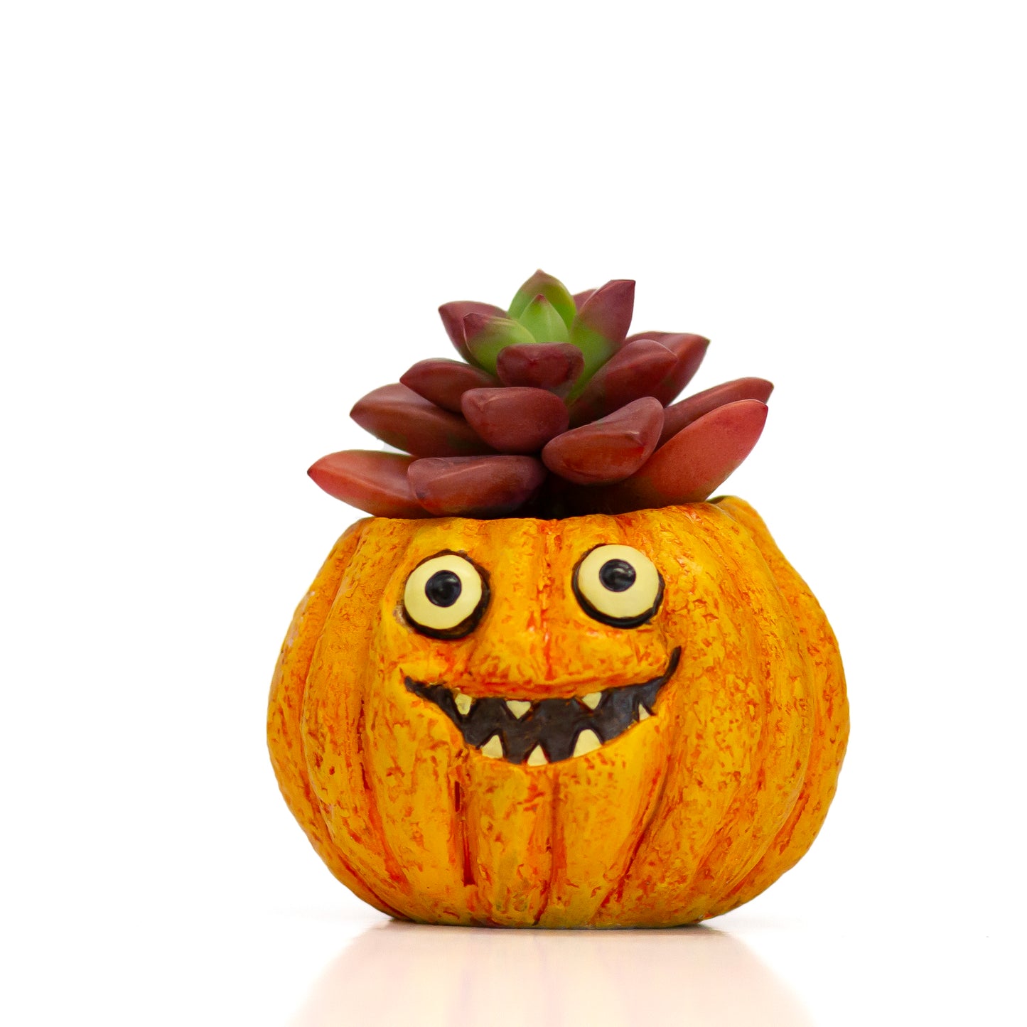 Snickers Mini Pumpkin Planter