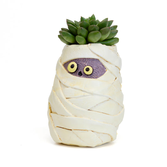 Mummy Mia Planter