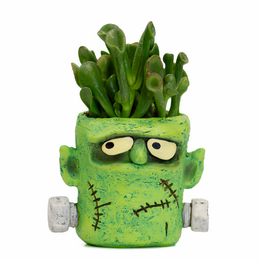 Frankie Monster Planter