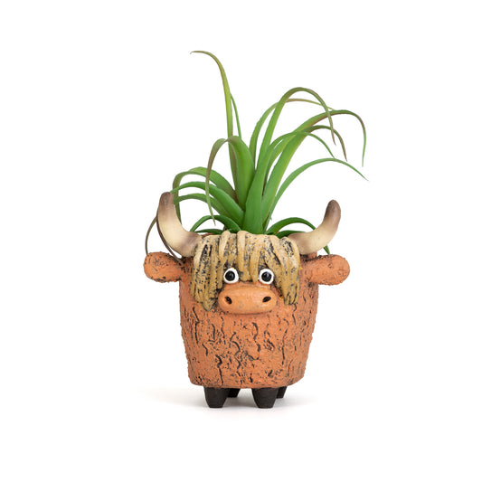 Highland Cow Blobhouse Planter - Dougal