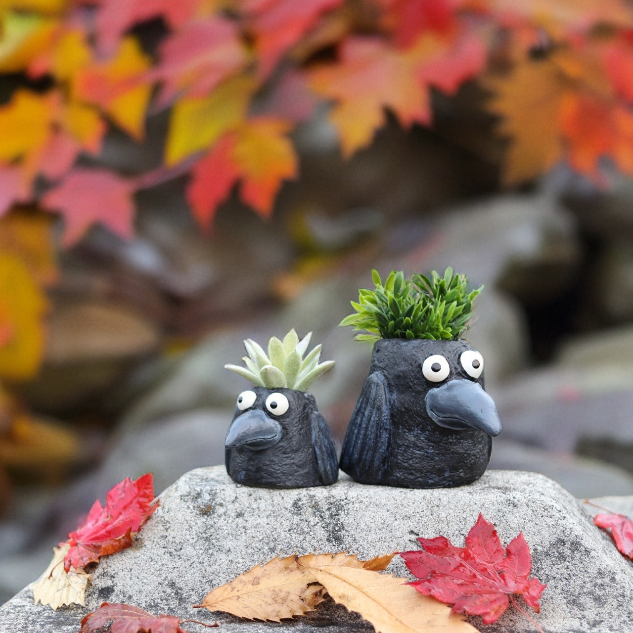 Baby Eddie Crow Blobhouse Planter