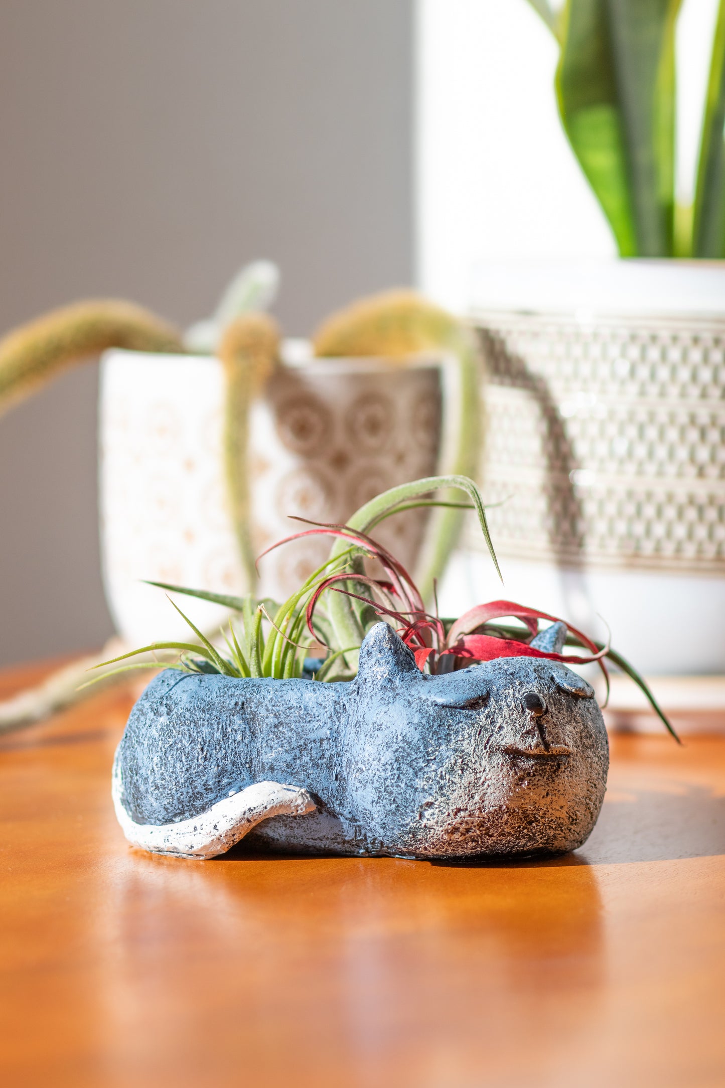 Blue Sleeping Cat Blobhouse Planter