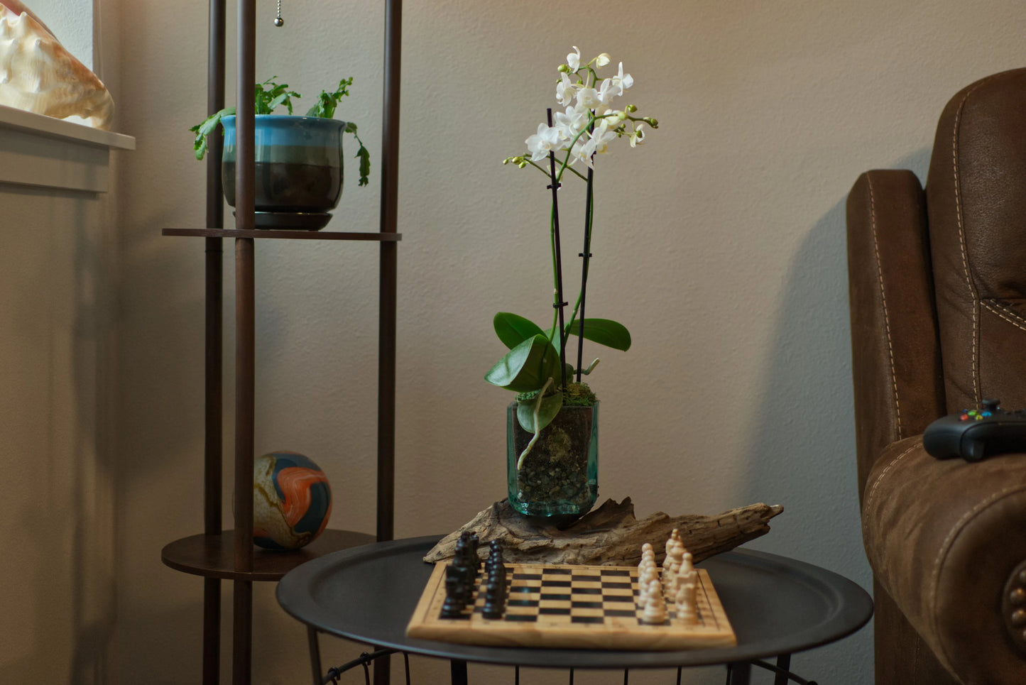 Square Molten Glass Vessels on Gamal Root