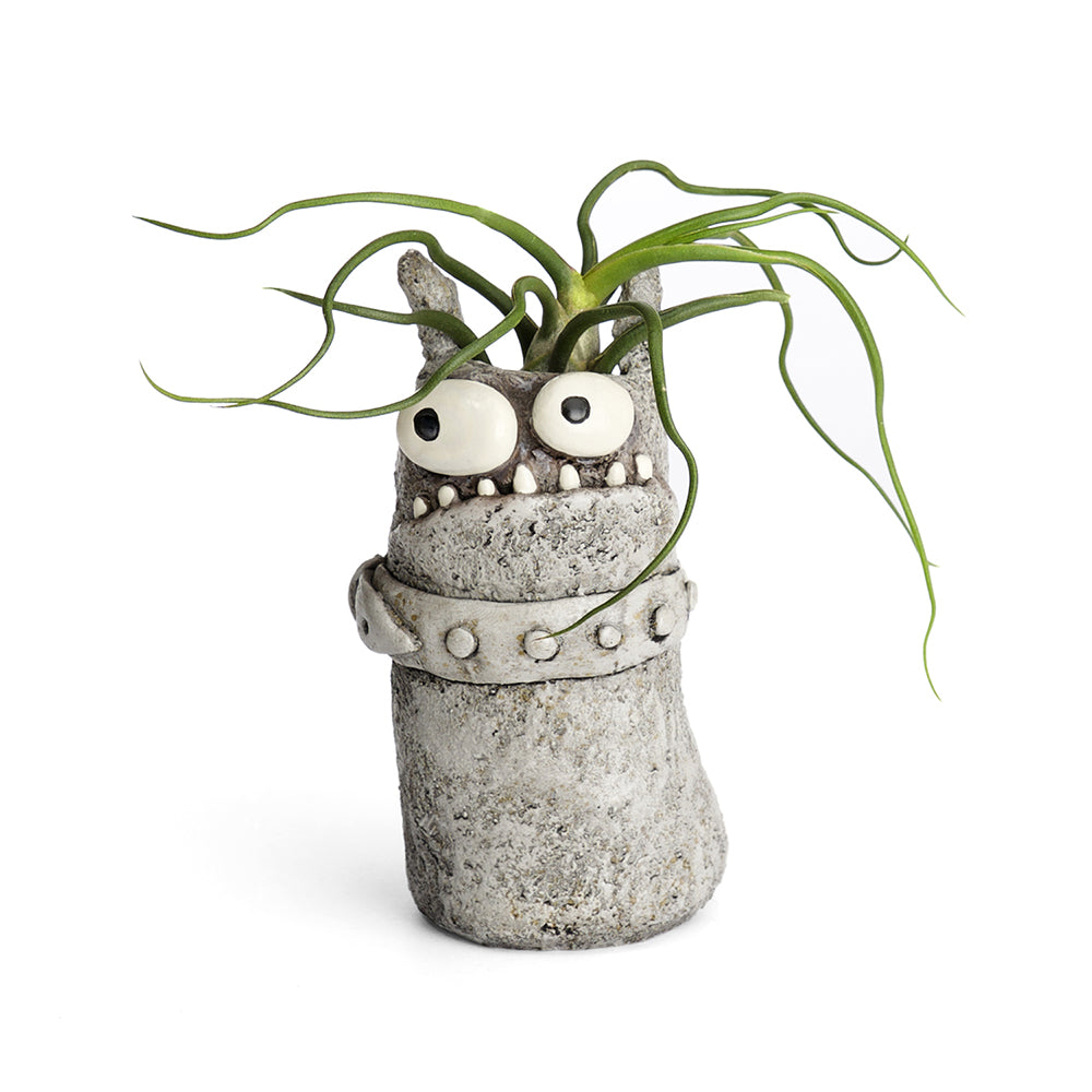 Diesel the Monster Planter