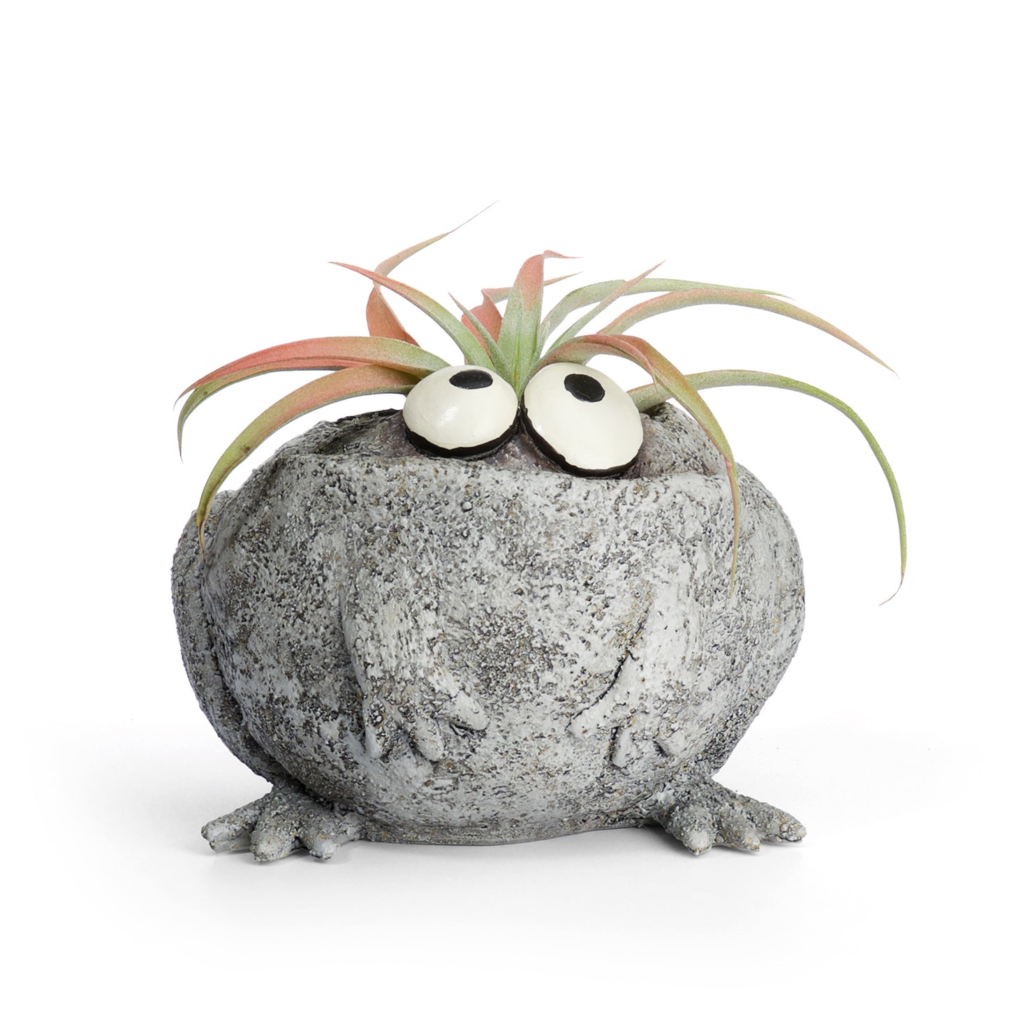 Romeo the Frog Planter