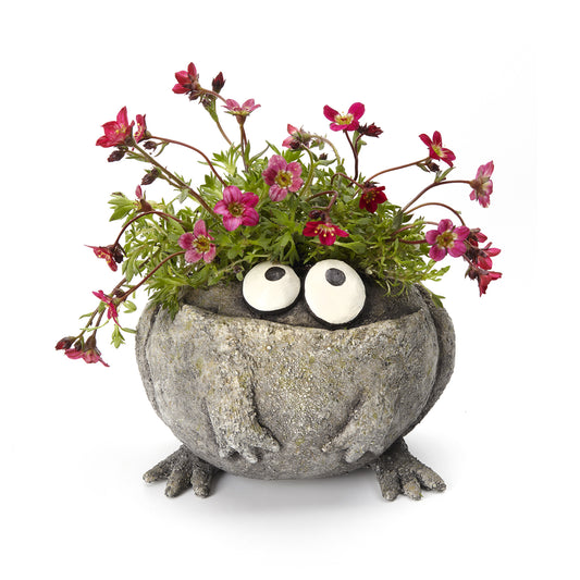 Romeo the Frog Planter