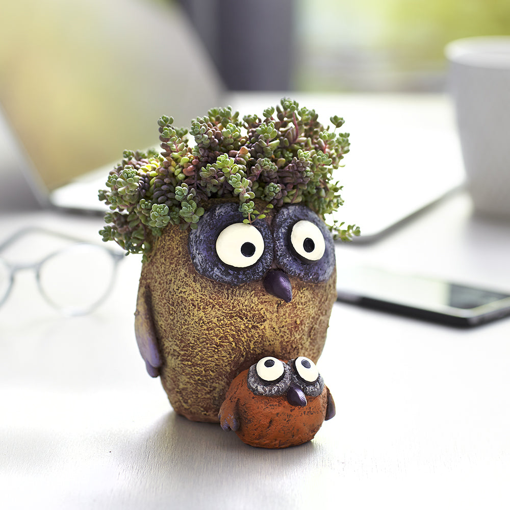 Sissy & Bab Owl Planter