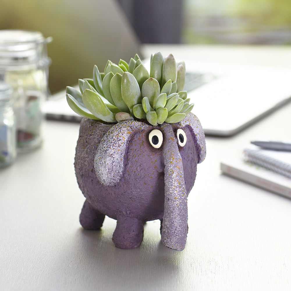 Bobo the Elephant Planter