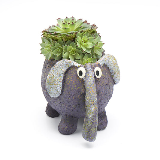 Bobo the Elephant Planter