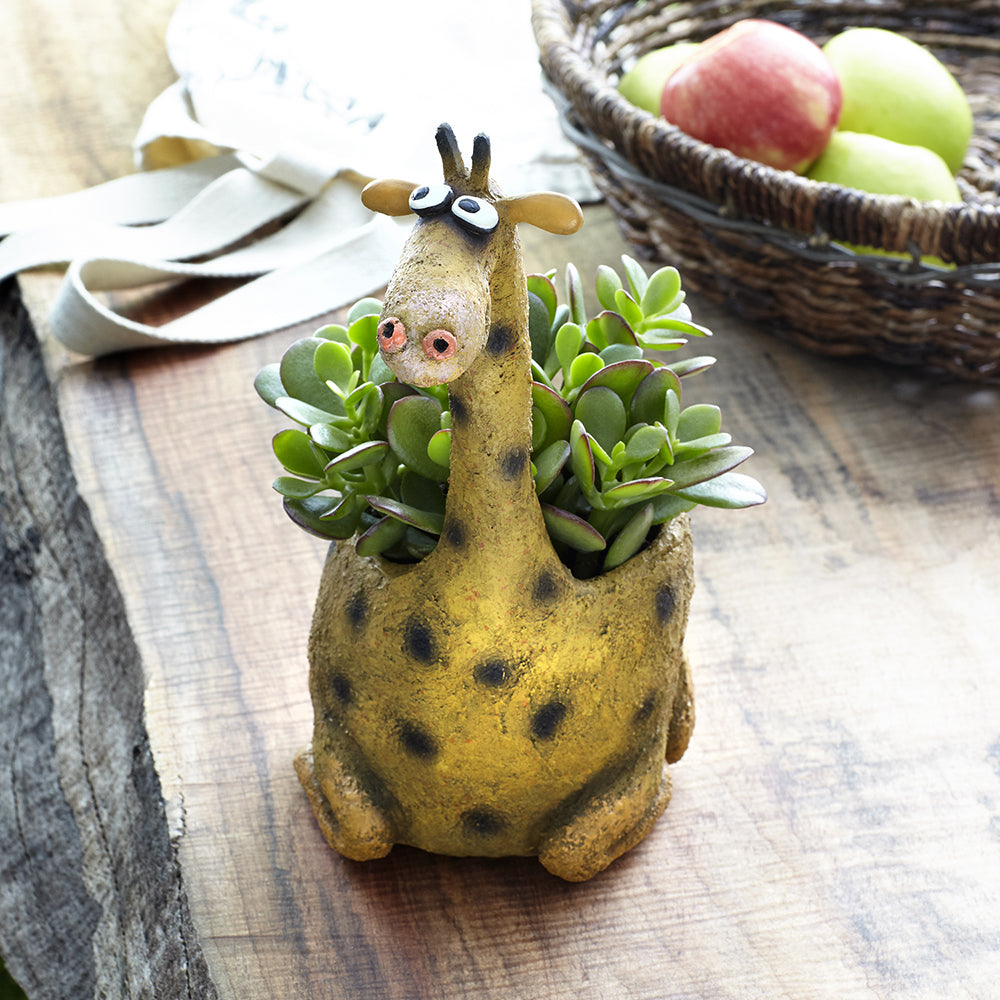 George the Giraffe Planter