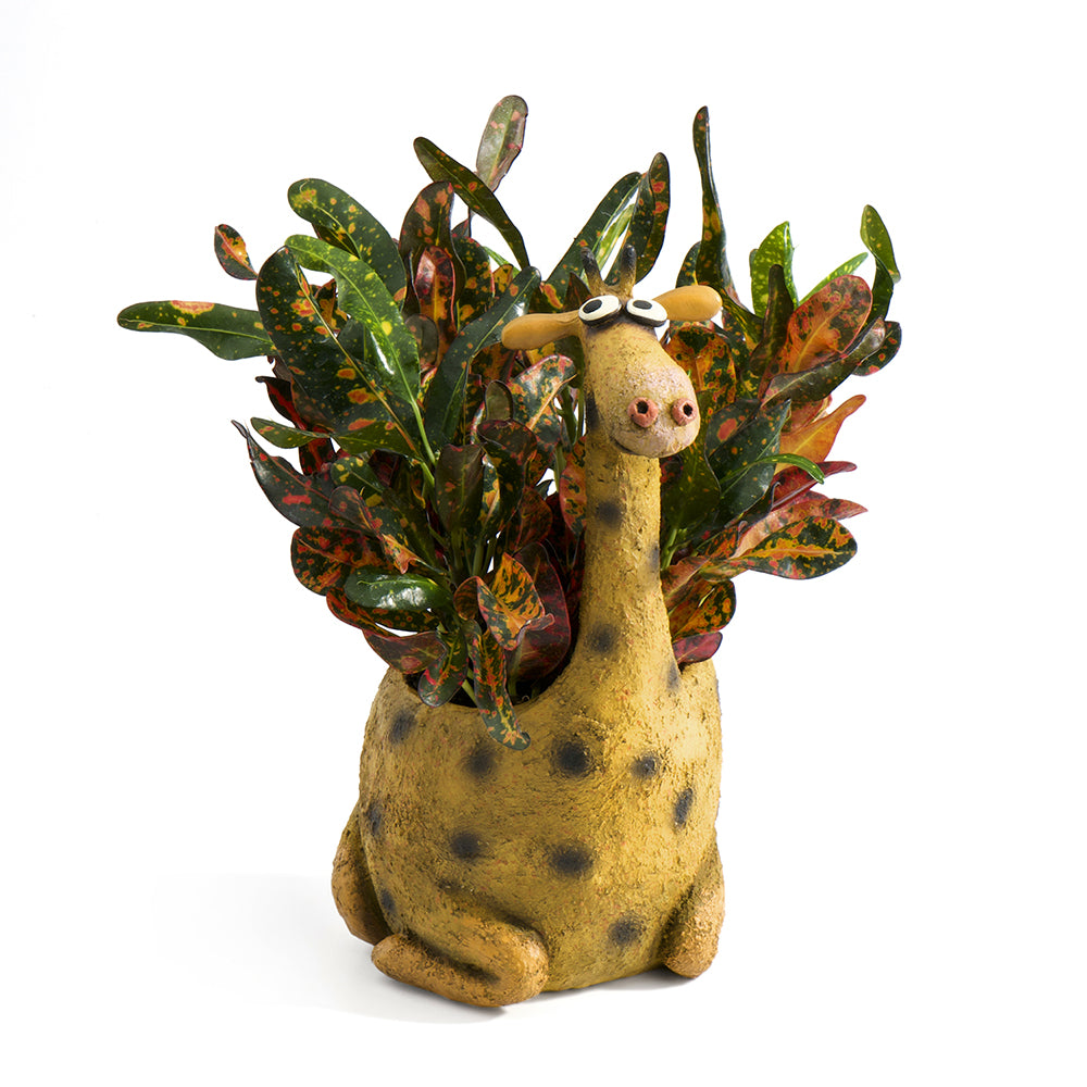 George the Giraffe Planter