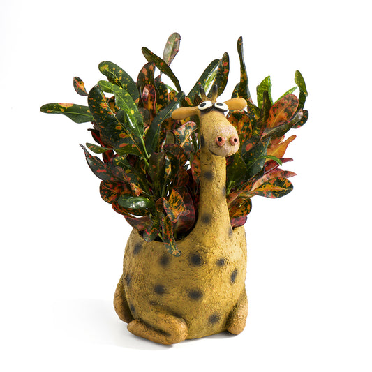 George the Giraffe Planter