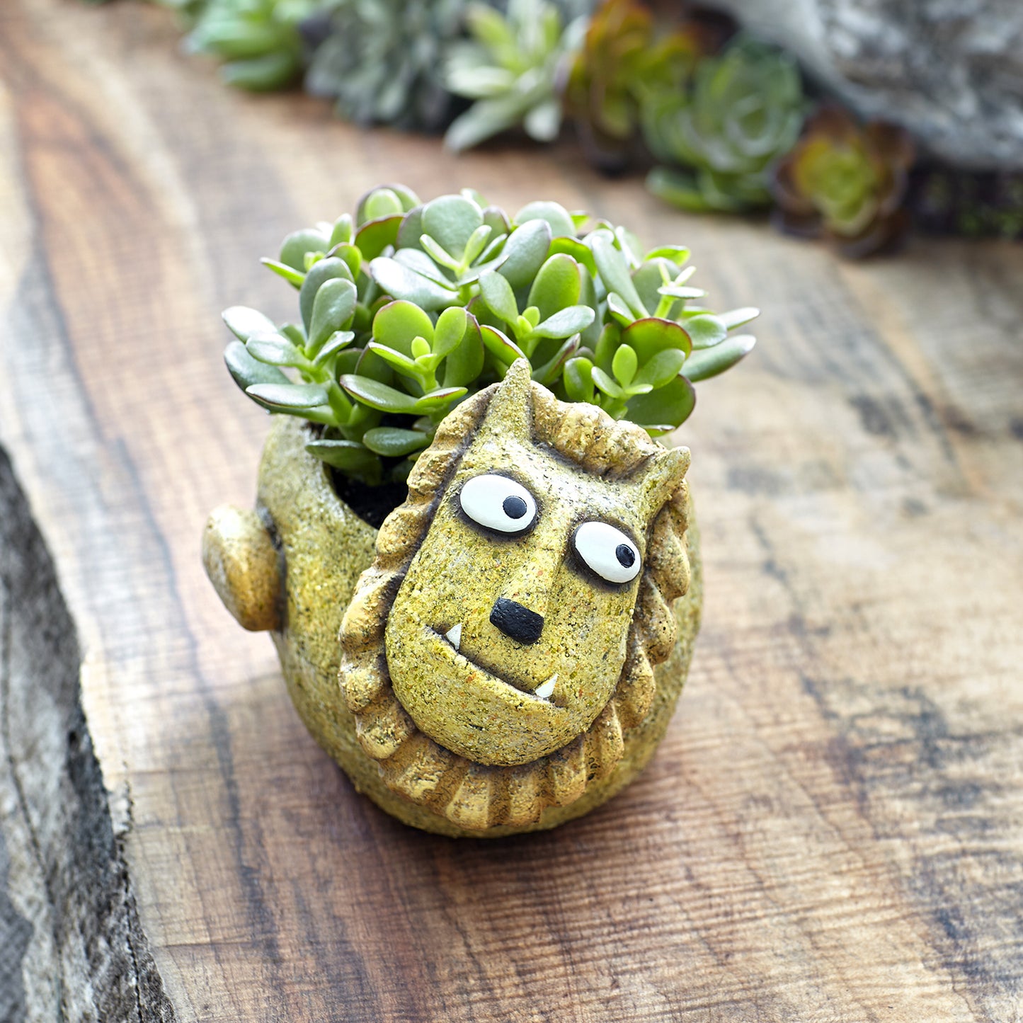 Simba the Lion Planter