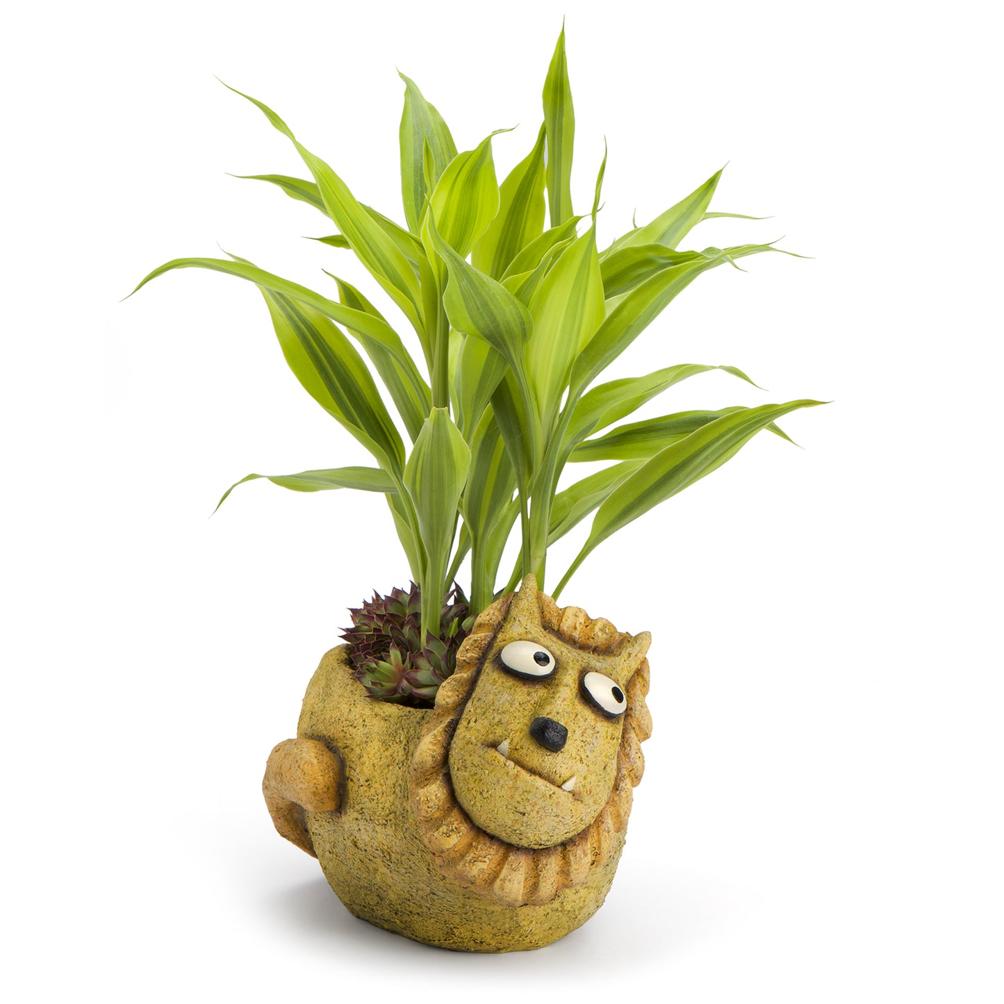 Simba the Lion Planter