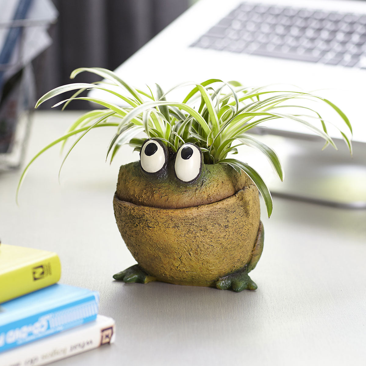 Fred the Frog Planter