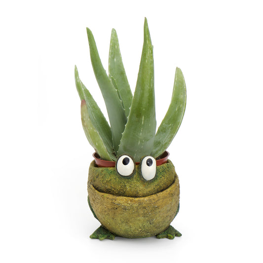 Fred the Frog Planter