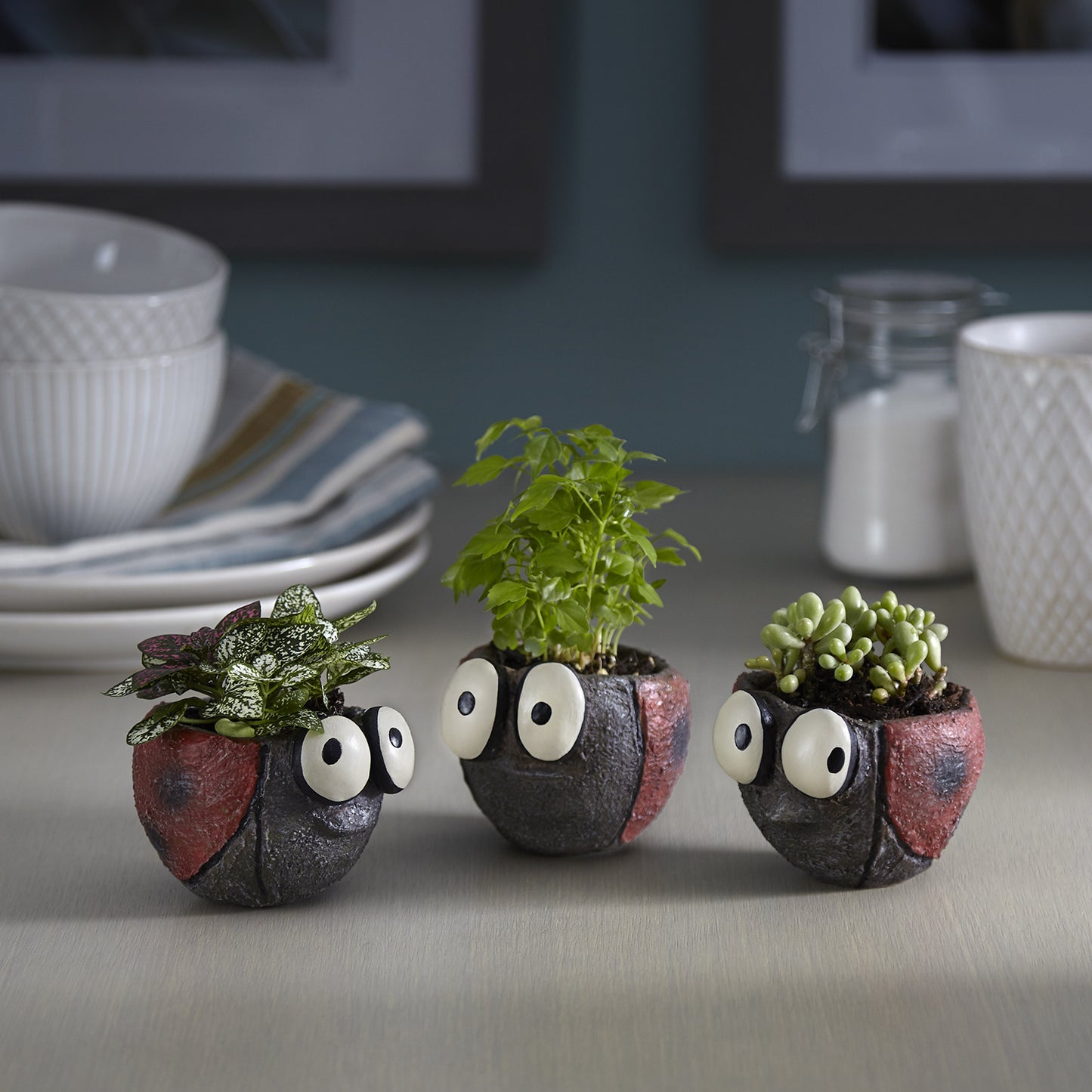 Ladybug Planters, Set of 3