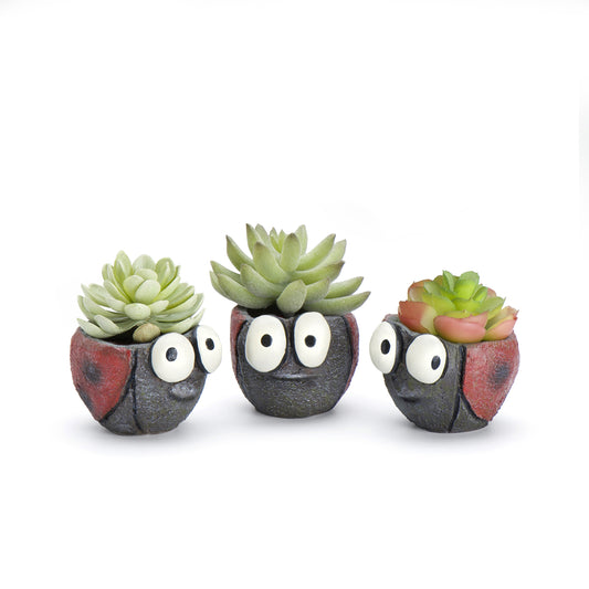 Ladybug Planters, Set of 3