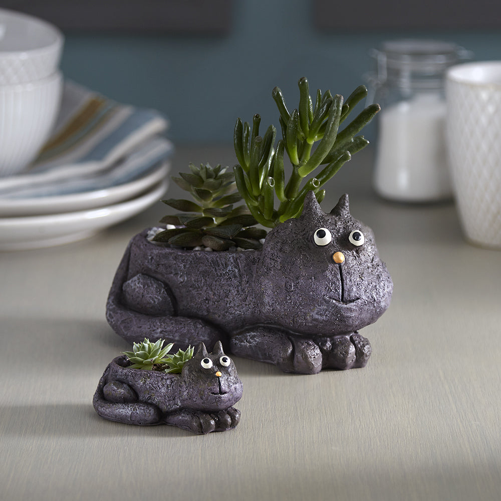 Baby Violet the Cat Blobhouse Planter