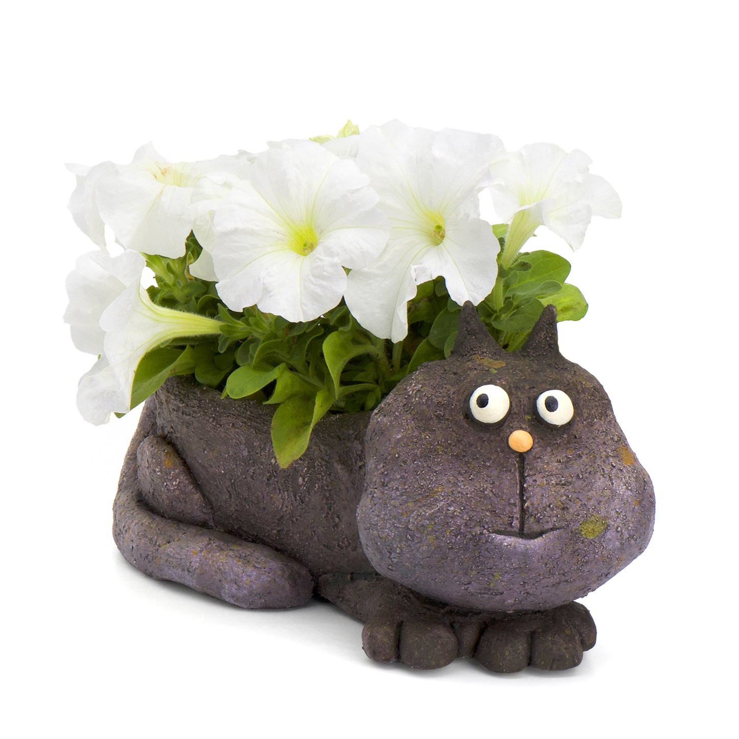 Violet the Cat Planter