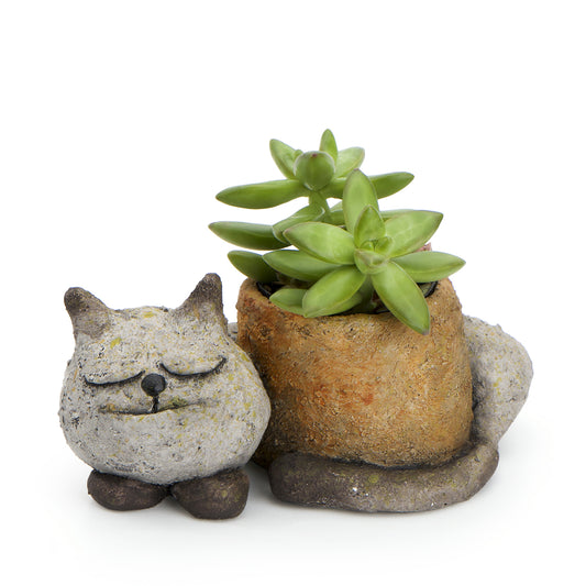 Sleepy Kitty Planter