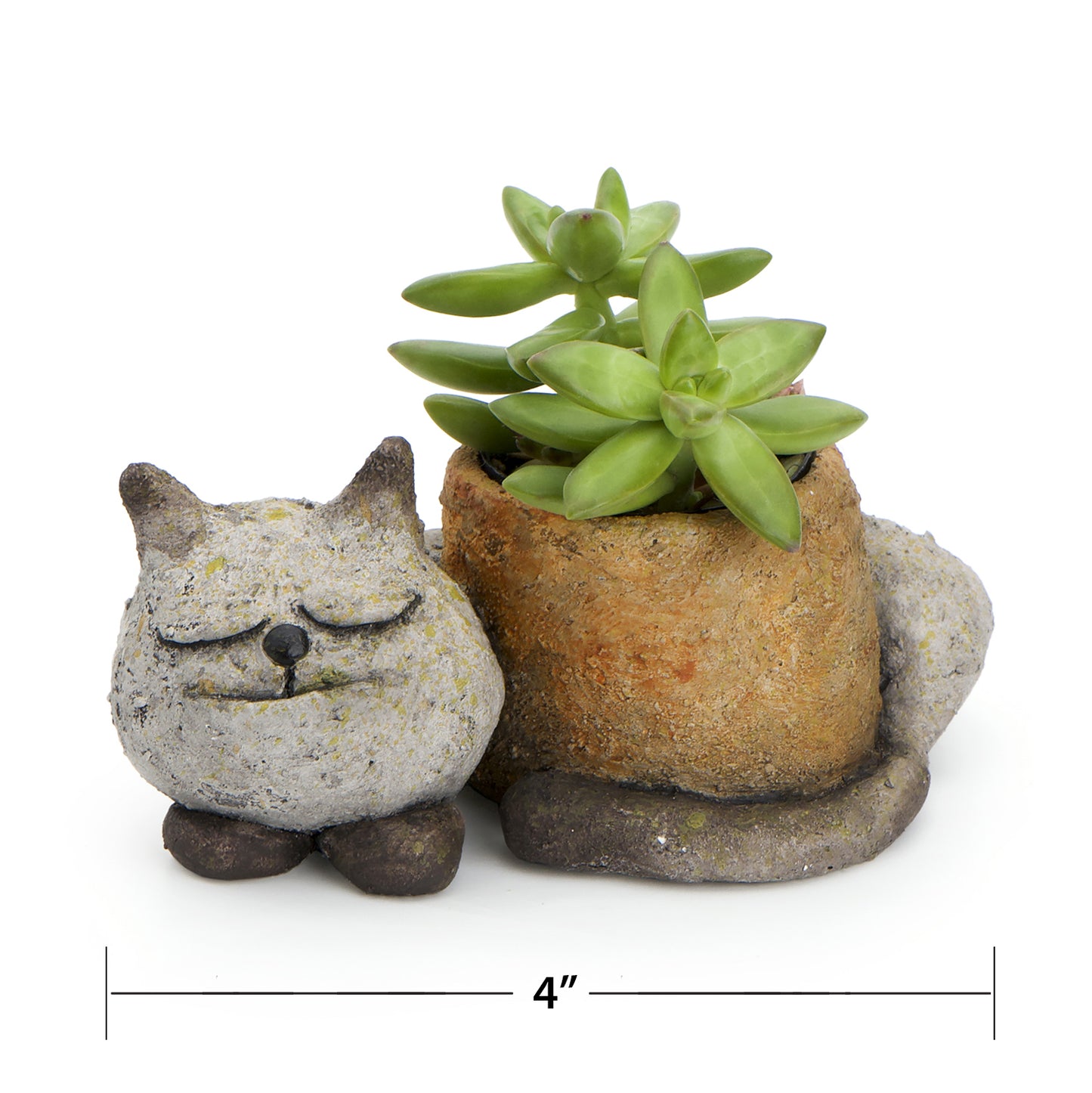 Sleepy Kitty Planter