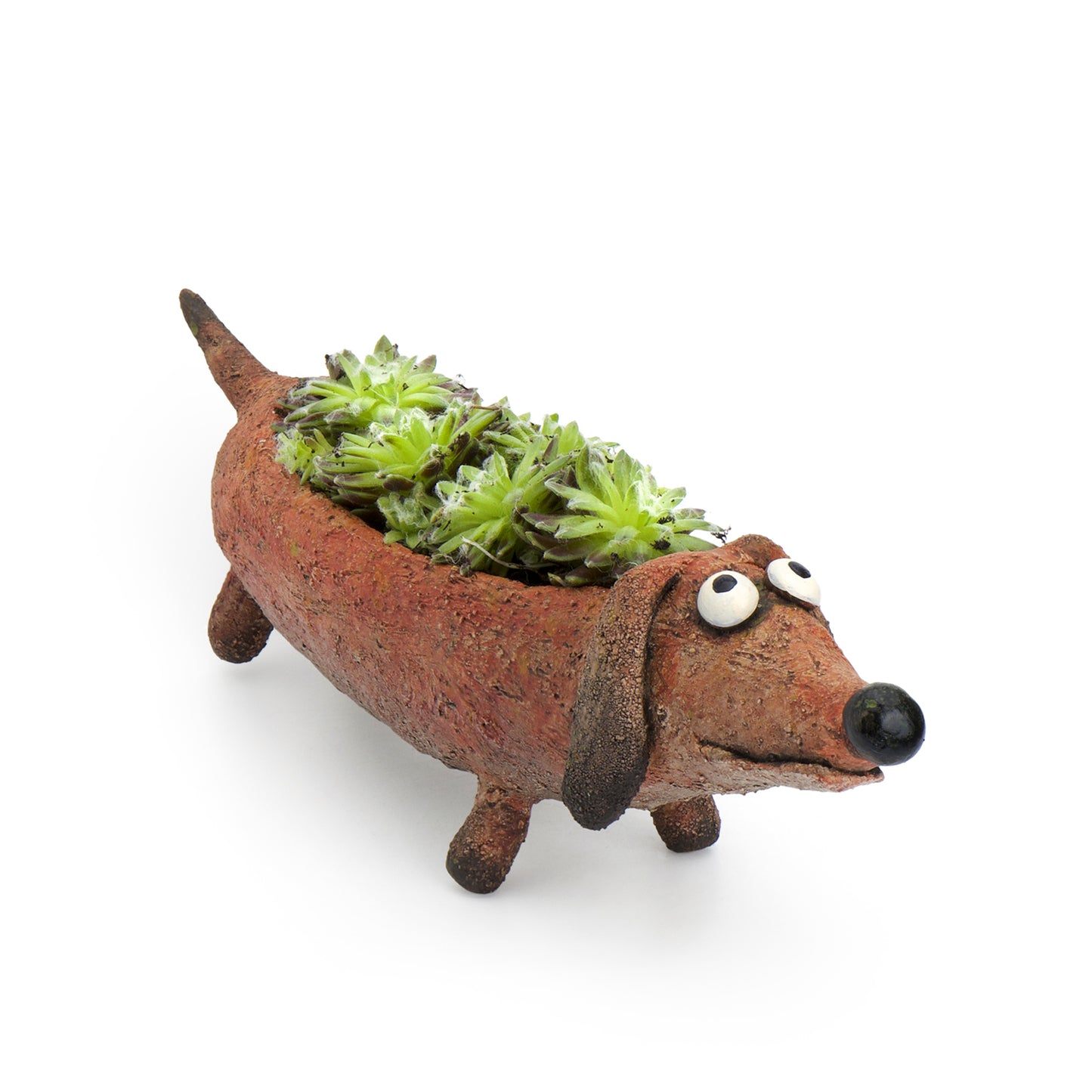 Dobby Doxin the Dog Planter