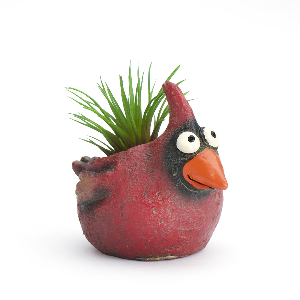 Ruddy the Baby Cardinal Bird Planter