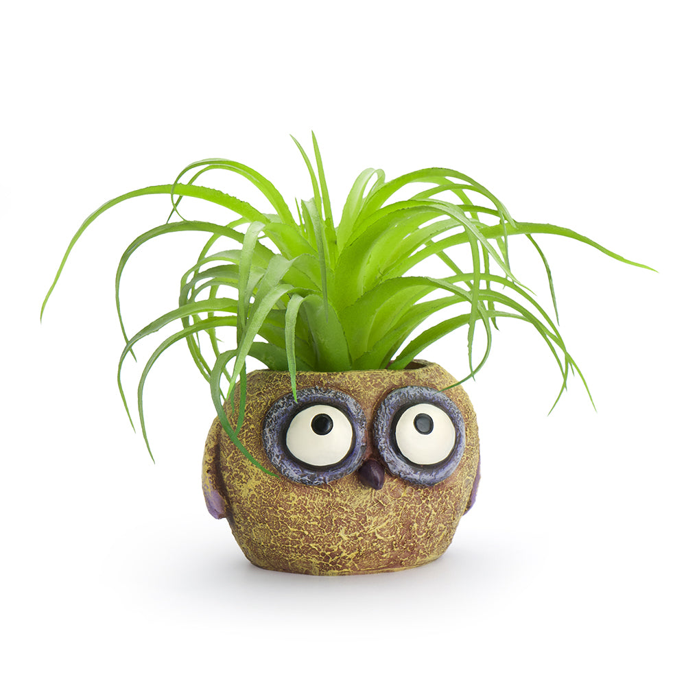 Olive the Baby Yellow Owl Blobhouse Planter