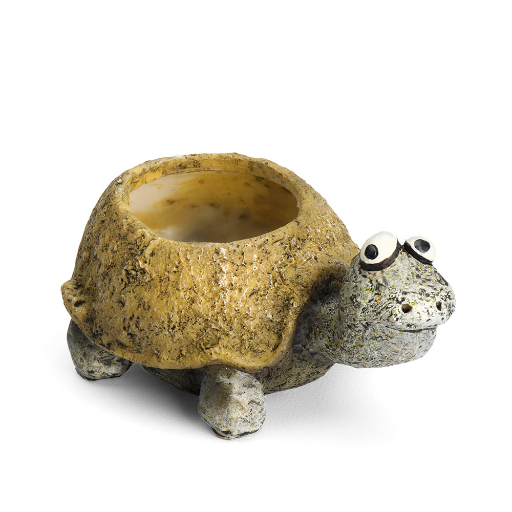 Preston the Baby Tortoise Blobhouse Planter