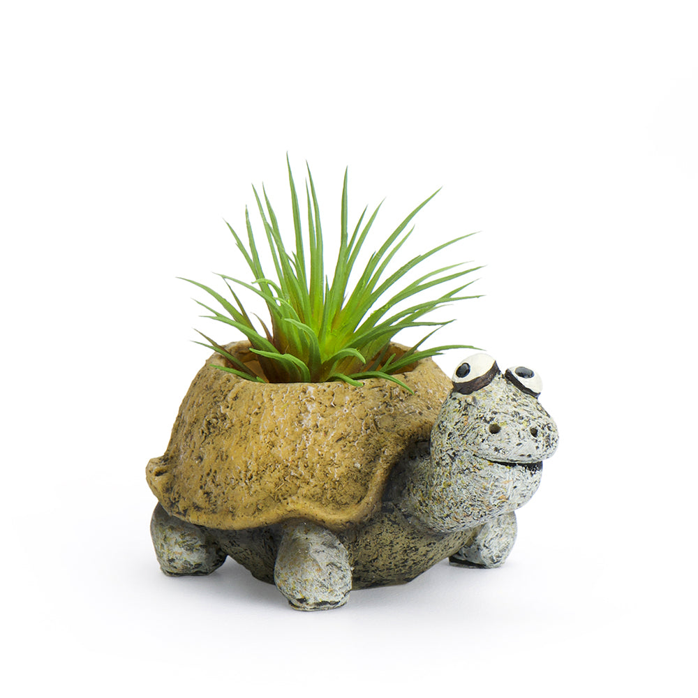 Preston the Baby Tortoise Blobhouse Planter