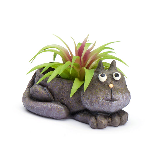 Baby Violet the Cat Blobhouse Planter