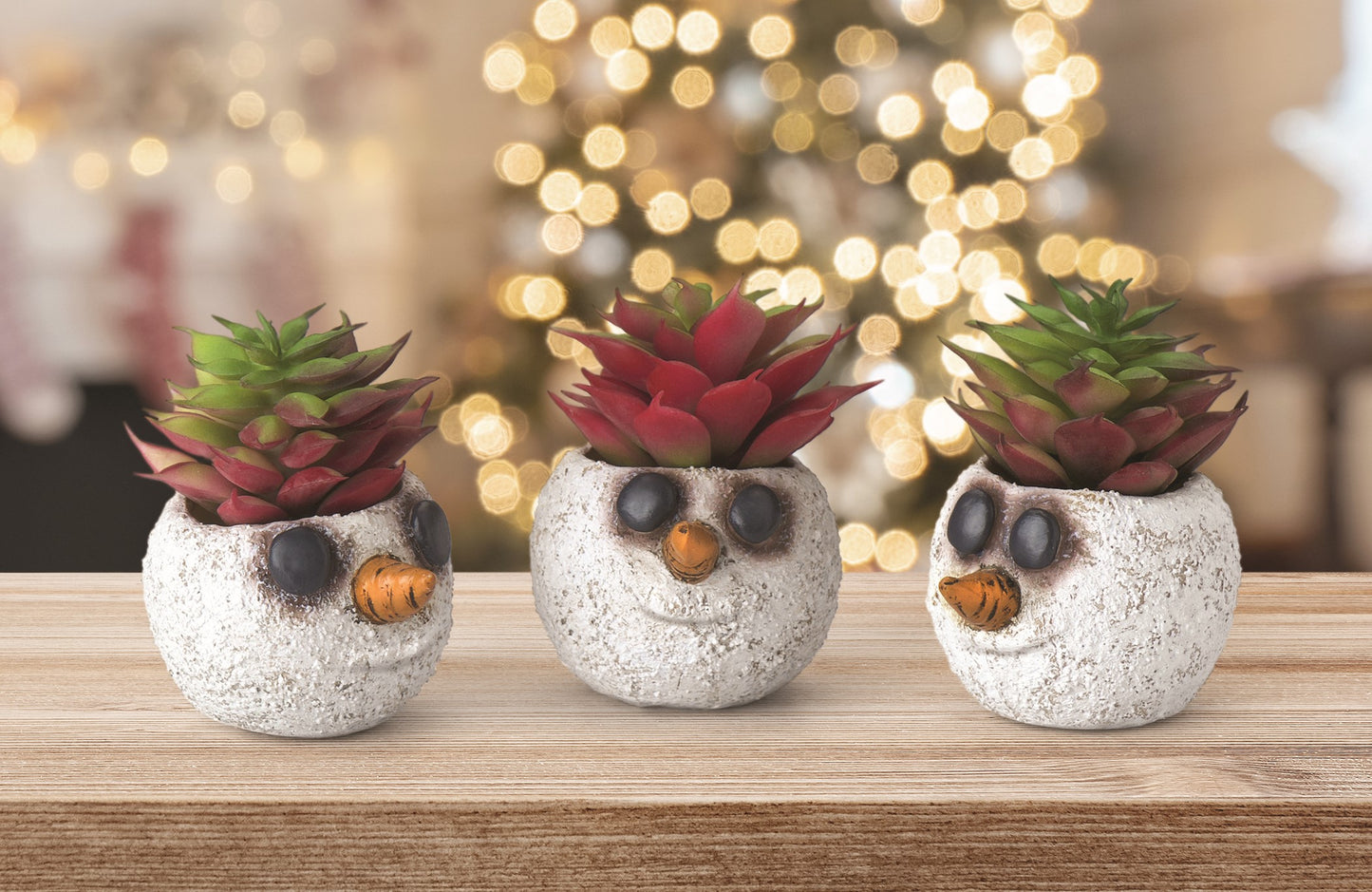 Mini Snowman Head Planters, Set of 3